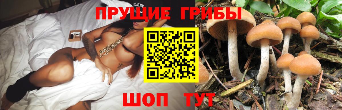 Псилоцибиновые грибы мухоморы Трёхгорный